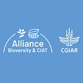 Alliance-B-&-CIAT-CGIAR